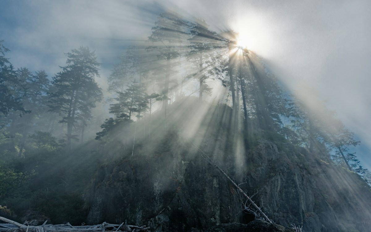 Sun rays breaking through mist above a coastal forest